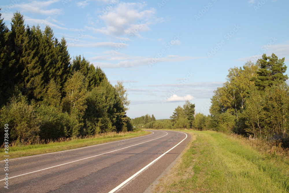 road in the countryside on a summer evening