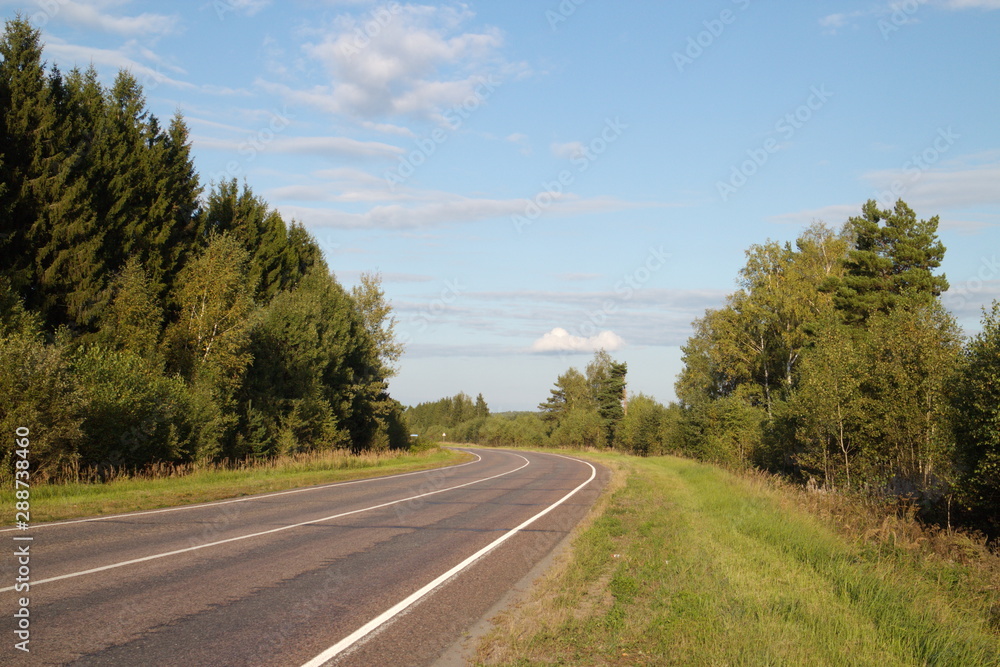 road in the countryside on a summer evening