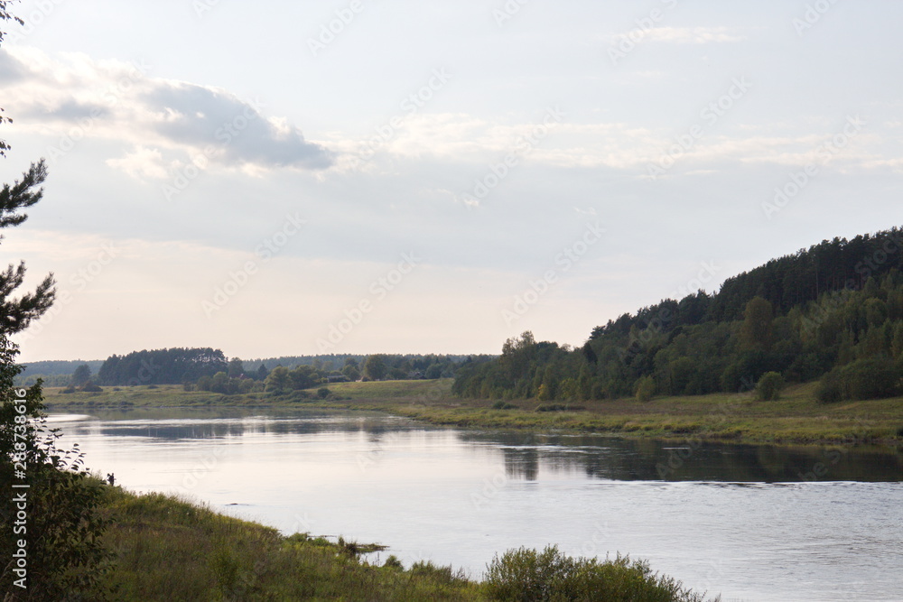 riverbank in the countryside on a summer day