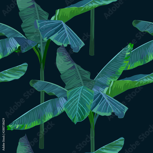 Jungle seamless pattern. Summer tropical palm trees print. Vector illustration