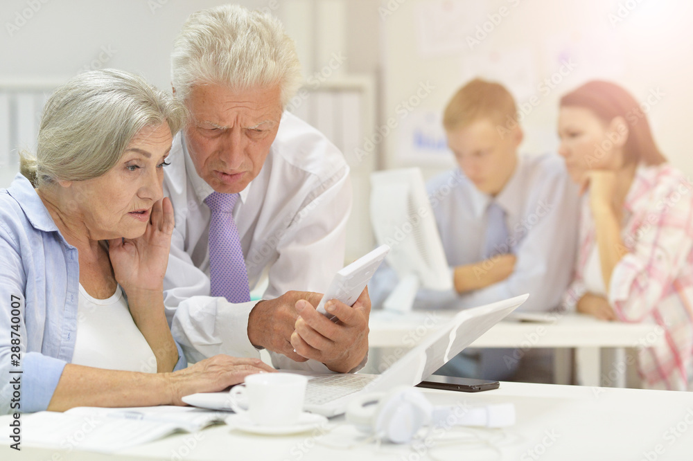 Fototapeta premium Portrait of successful senior businesspeople working together