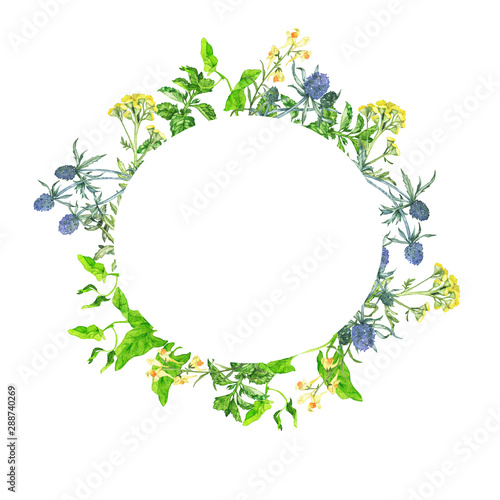 Summer wild flowers and green leaves frame isolated on white background. Hand drawn watercolor illustration.