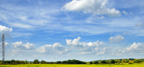 Blue sky with fluffy clouds in sunny summer day over field of rapeseeds. © Nata Studio