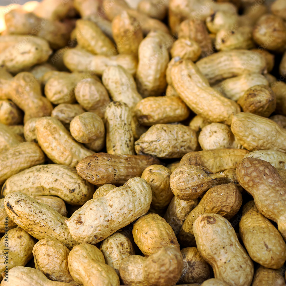 Peanut background food. peanuts in shell texture. Close-up of peanuts in shkarlupe view from above. Peanut background food. peanuts in shell texture. Close-up of peanuts in shkarlupe view from above.