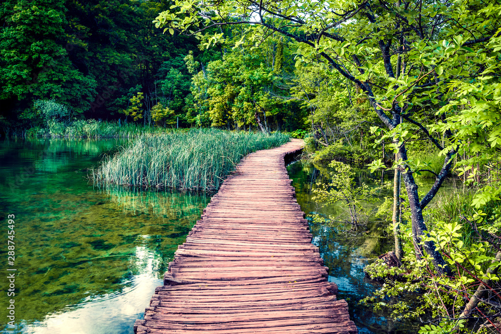 Naklejka premium Beautiful morning view of Plitvice National Park. Sunny spring scene of green forest with pure water lake. Marvelous countryside landscape of Croatia, Europe. Traveling concept background.