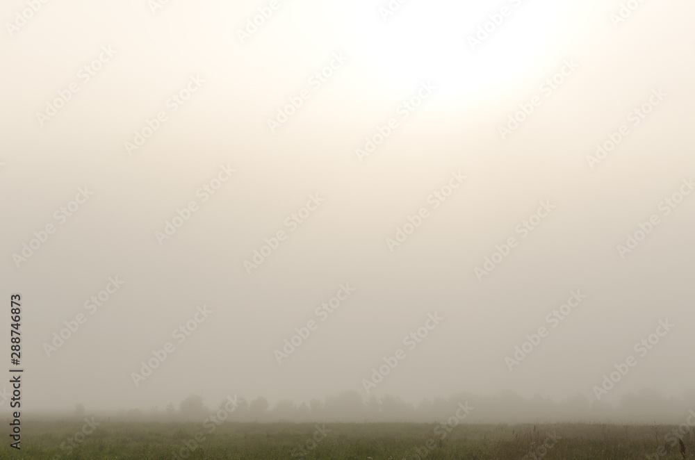 Foggy morning in field and sky Foggy morning in field and sky
