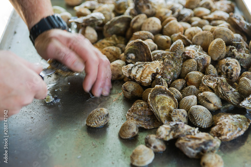 Oyster farm. Farm worker opens oysters with a special knife. Depicted male hands and a large number of different oysters. Selective focus.