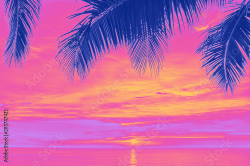 Fototapeta Naklejka Na Ścianę i Meble -  Sunset and palms