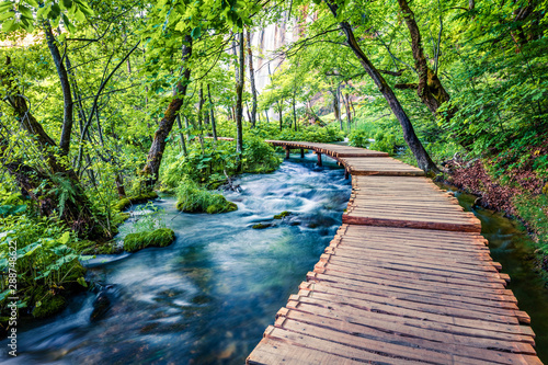 Beautiful morning view of Plitvice National Park. Sunny spring scene of green forest with pure water lake. Marvelous countryside landscape of Croatia, Europe. Traveling concept background.