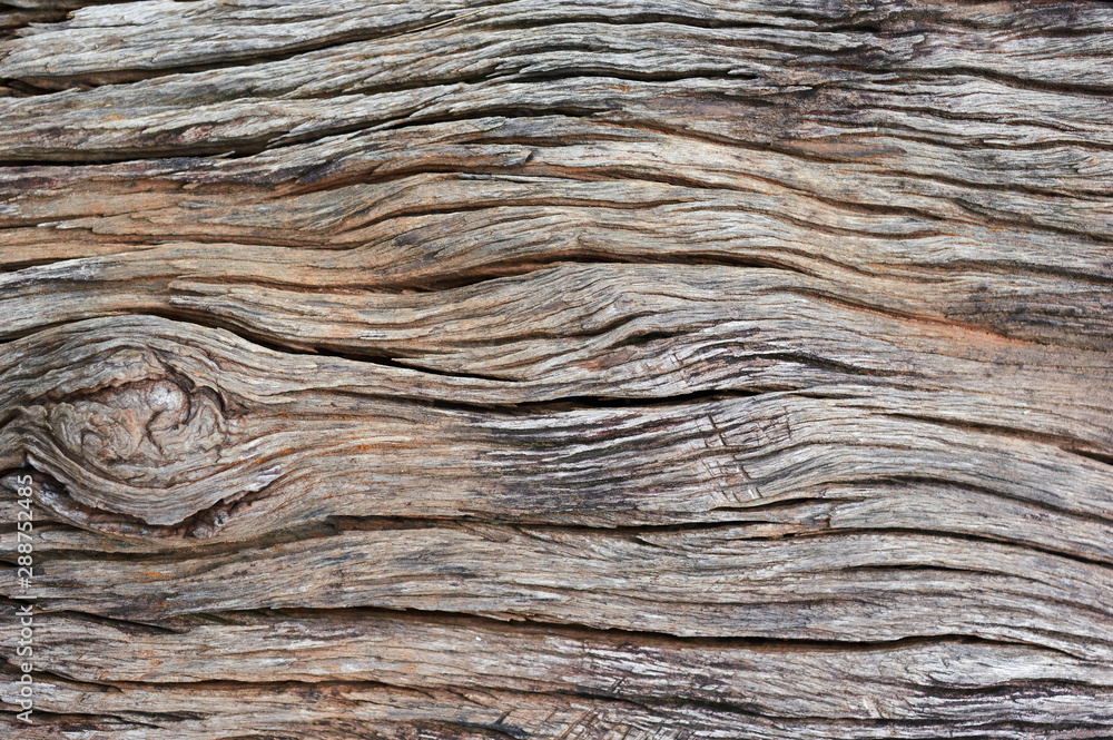 background of the old wooden surface background of the old wooden surface
