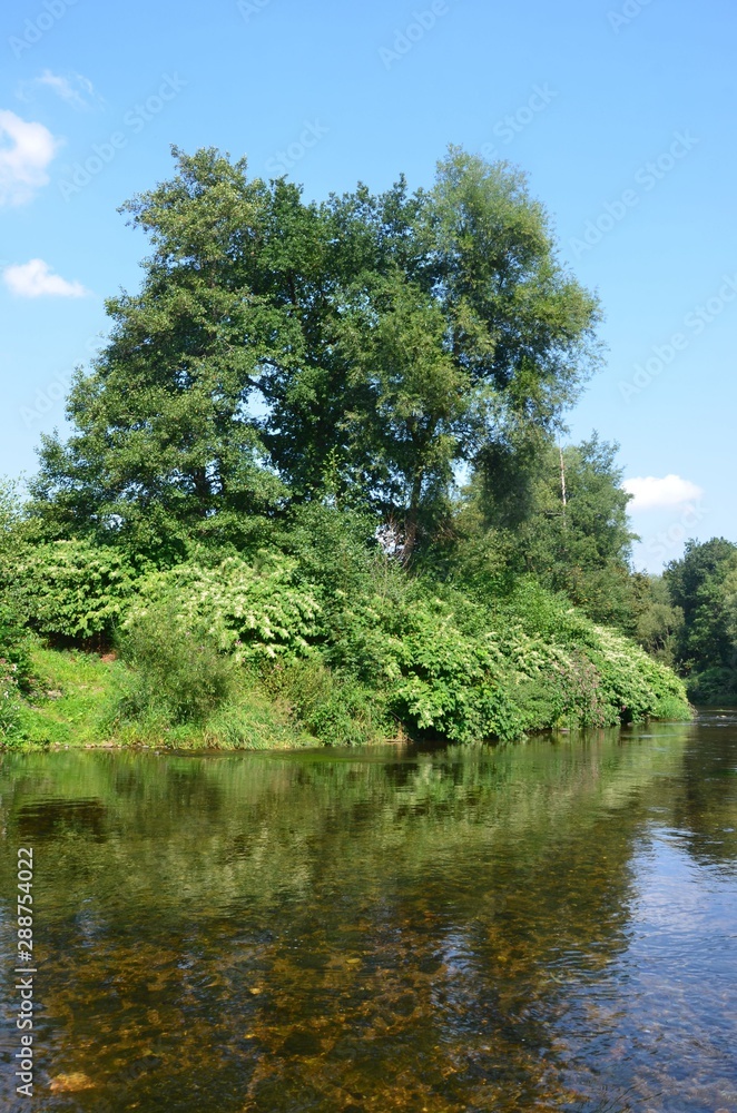 Fototapeta premium Idyllische Flusslandschaft im Sommer