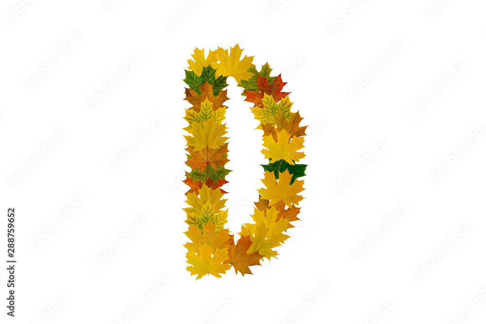 Letter D from autumn maple leaves isolated on white background. Alphabet from green, yellow and orange leaves Letter D from autumn maple leaves isolated on white background. Alphabet from green, yellow and orange leaves
