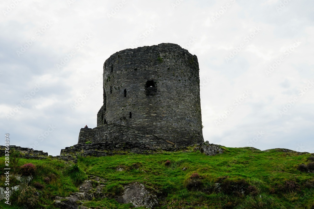 Castle Ruins Isolated on a Hill 