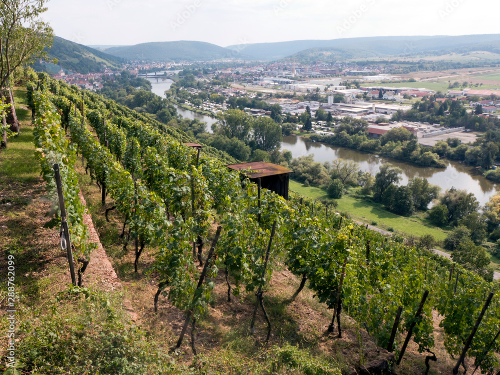Wanderung auf dem Fränkischen Rotwein Wanderweg von Erlenbach über Klingenberg nach Miltenberg. Der Weg führt durch Weinberge und Wiesen. Im Tal sieht man den Fluss Main und die Stadt Wörth am Main. Wanderung auf dem Fränkischen Rotwein Wanderweg von Erlenbach über Klingenberg nach Miltenberg. Der Weg führt durch Weinberge und Wiesen. Im Tal sieht man den Fluss Main und die Stadt Wörth am Main.