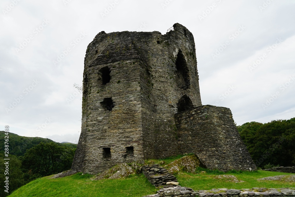 Stone Castle Ruins