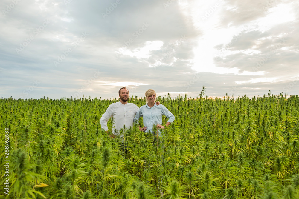 Man and woman proudly standing in their marijuana CBD hemp plants field.