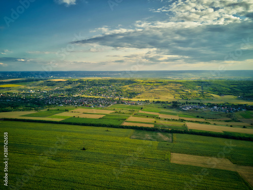 Aerial view of the green and yellow rice field, grew in different pattern at sunset.