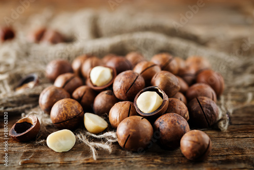 macadamia nuts photo