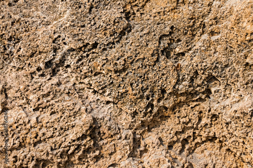 Background, texture of limestone rock, stone cockleshell.
