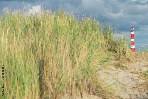 Lighthouse Bornrif Ameland, sea landscape, blue cloudy sky in the dunes, high dune grass, the Netherlands