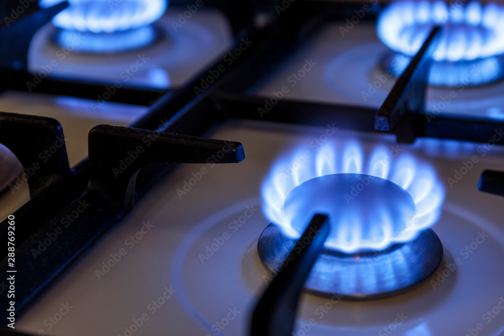 Burning blue flames gas. Focus on the front edge of the gas burners. Burning blue flames gas. Focus on the front edge of the gas burners.