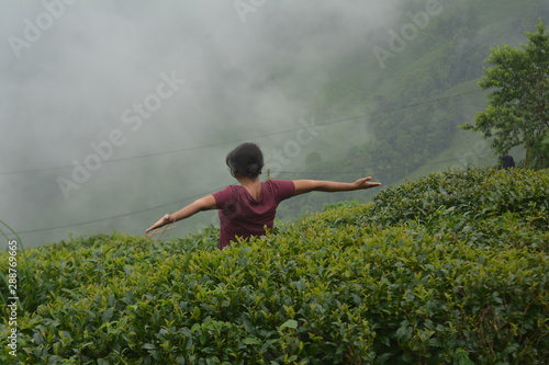 Enjoying the view tea garden