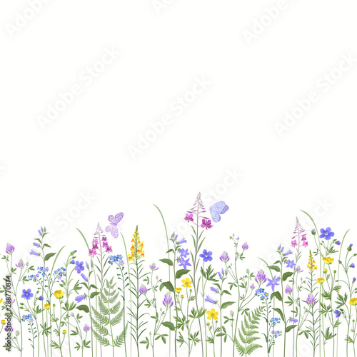 seamless floral border with summer flowers nd butterflies