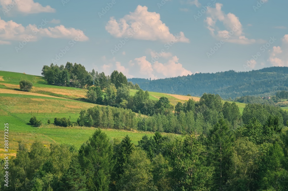 Beautiful mountain summer landscape. Green meadows and hills in the Polish mountains.