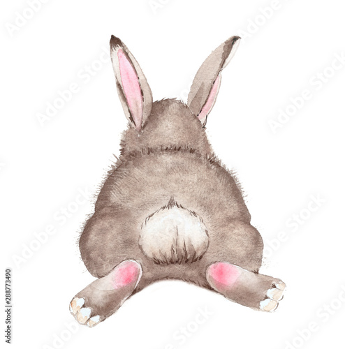 cute gray rabbit watercolor painting on white background photo