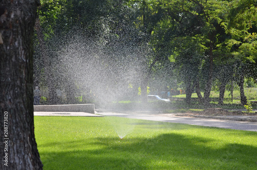 fountain in the park grass. irrigarion field in park photo