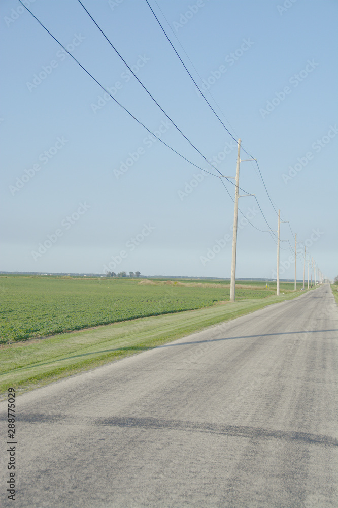 An empty country road disappears into the distance on a summer afternoon