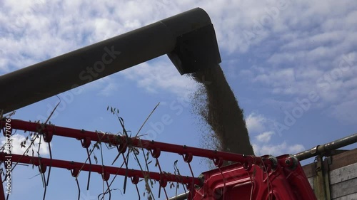 The modern combine harvester, or simply combine, is a versatile machine designed to efficiently harvest a variety of grain crops. 