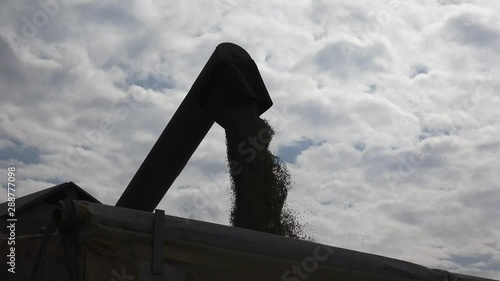 The modern combine harvester, or simply combine, is a versatile machine designed to efficiently harvest a variety of grain crops. 