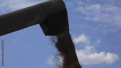 The modern combine harvester, or simply combine, is a versatile machine designed to efficiently harvest a variety of grain crops. 