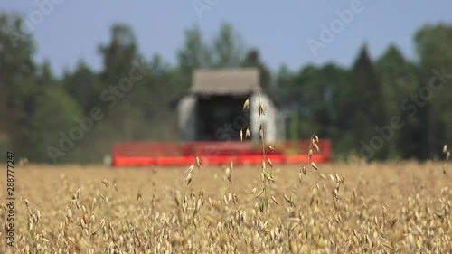 The modern combine harvester, or simply combine, is a versatile machine designed to efficiently harvest a variety of grain crops. 