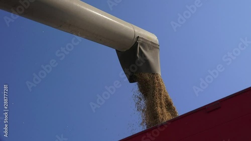 The modern combine harvester, or simply combine, is a versatile machine designed to efficiently harvest a variety of grain crops. 