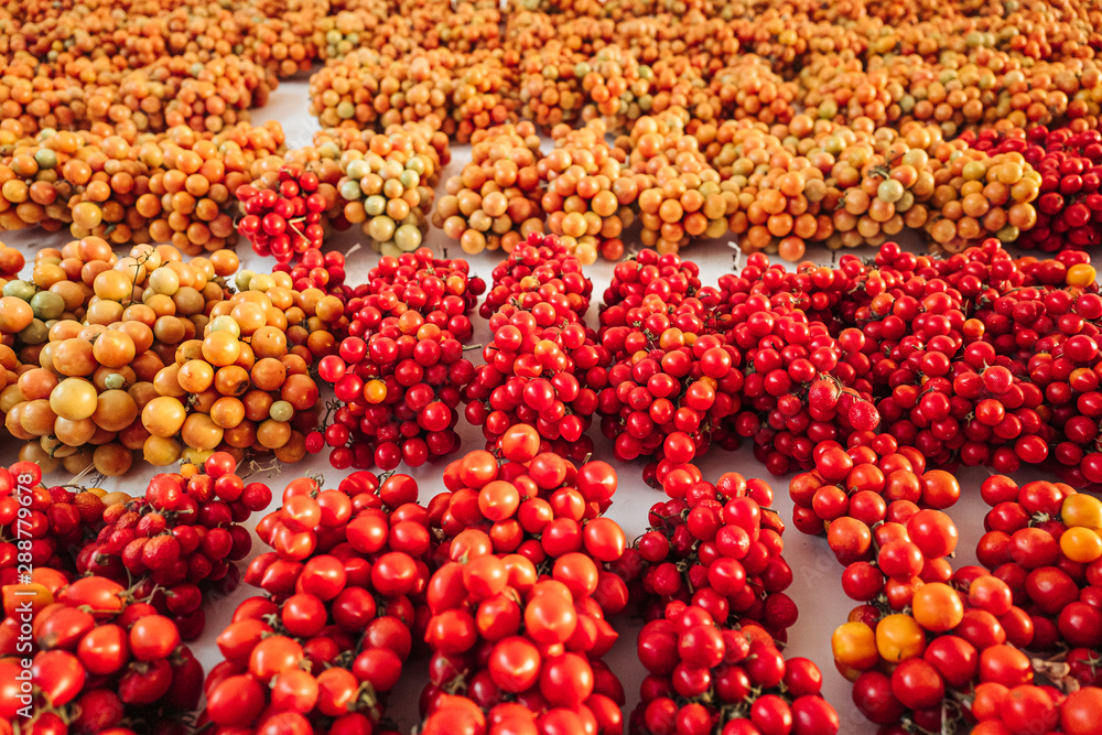 Cherry tomatoes hanging on the wall in the south of Italy Cherry tomatoes hanging on the wall in the south of Italy