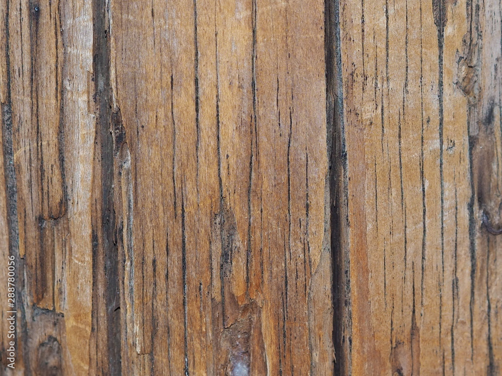 tablas viejas de madera con veta marcada pino