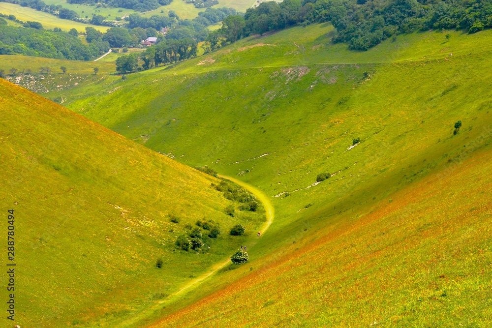 Obraz premium road in the field
