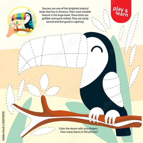Drawing Game Tutorial Toucan Printable Template Vector
