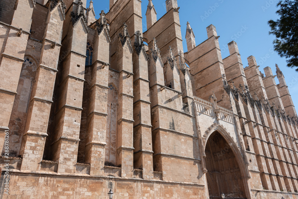 view of the Gothic cathedral of Palma de Mallorca view of the Gothic cathedral of Palma de Mallorca