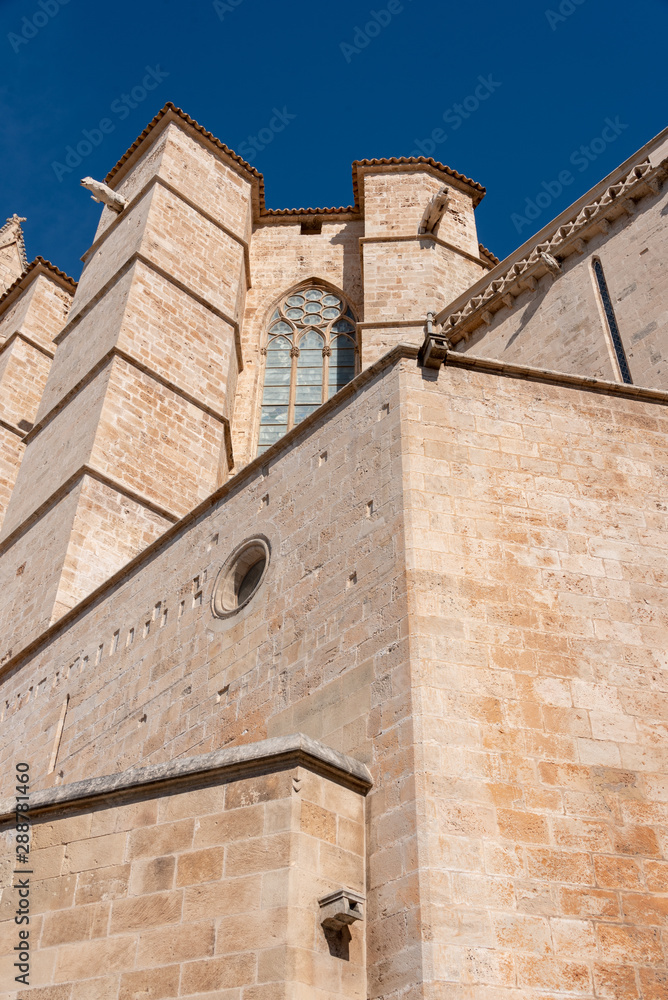 Fototapeta premium view of the Gothic cathedral of Palma de Mallorca