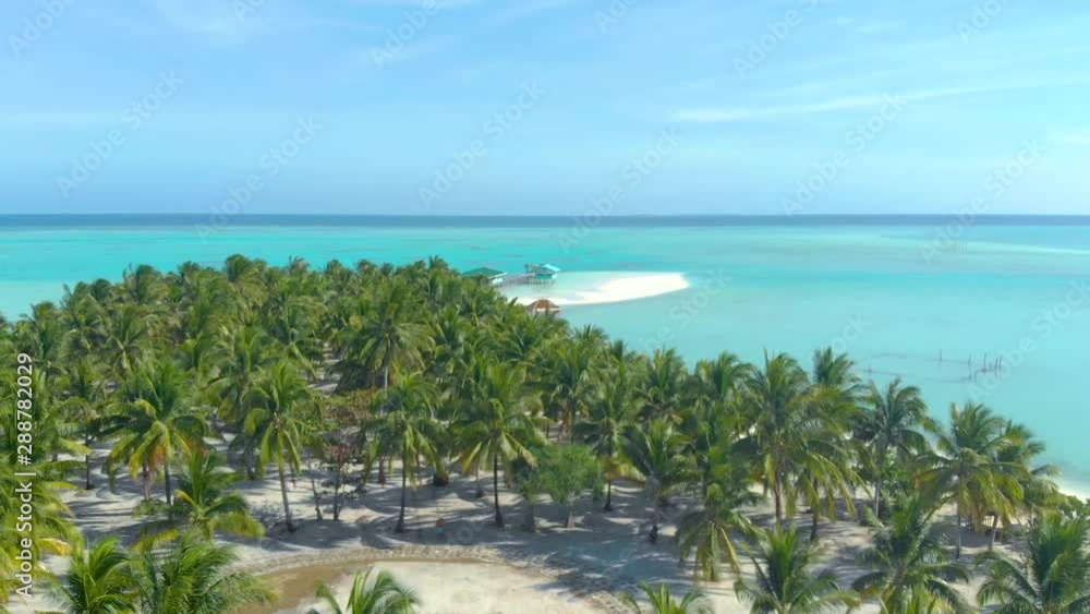 Aerial landscape of tropical coast and lots of palm trees with endless turquoise ocean and white sand from above in paradise Onok island in Balabac. Tropical vacation concept in Palawan, Philippines Aerial landscape of tropical coast and lots of palm trees with endless turquoise ocean and white sand from above in paradise Onok island in Balabac. Tropical vacation concept in Palawan, Philippines