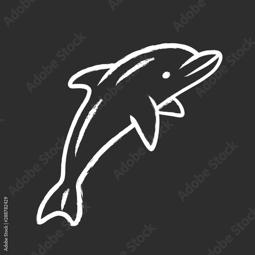 Dolphin chalk icon. Undersea world. High intelligent water creature. Underwater aquatic mammal. Marine fauna. Entertainment dolphin show. Jumping fish. Isolated vector chalkboard illustration