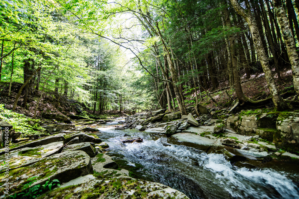 River running through the forest in the Catskill Mountains, New York state River running through the forest in the Catskill Mountains, New York state