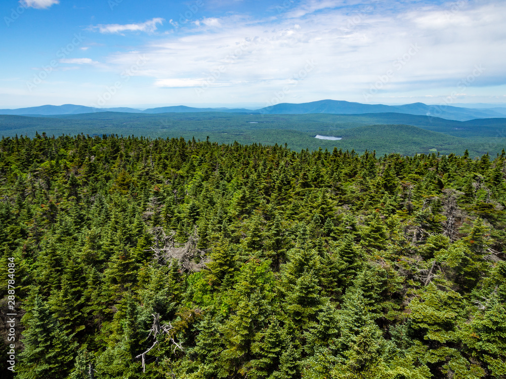Maine Wilderness Forest, Mountains and Trees