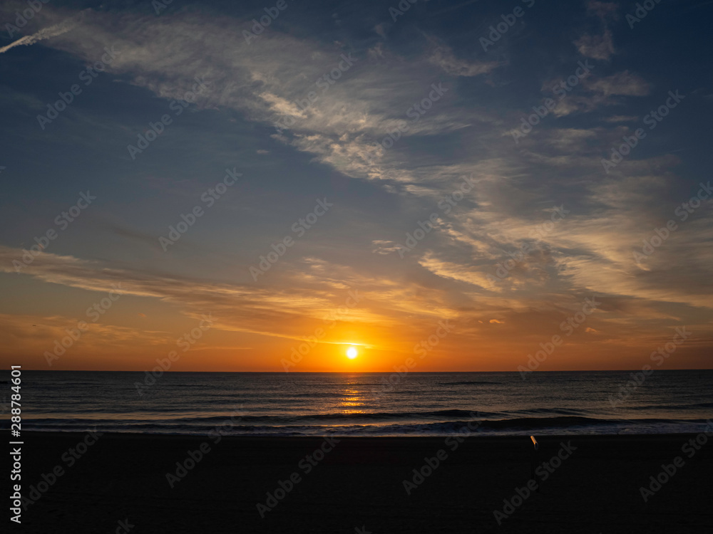 Amanecer en Barcelona, con Palmeras a contraluz , cielo azul y naranja y el sol sobre el mar. Amanecer en Barcelona, con Palmeras a contraluz , cielo azul y naranja y el sol sobre el mar.