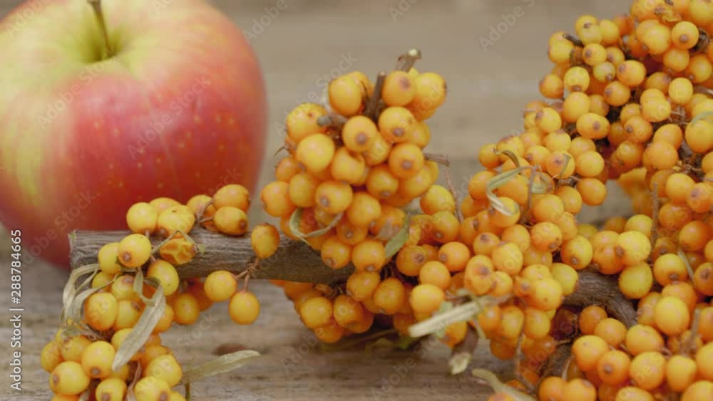 Apples, sea buckthorn, star anise and cinnamon are on the table. Apples, sea buckthorn, star anise and cinnamon are on the table.
