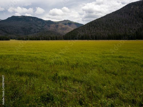 Rocky Mountain Valley, Grassy Meadow, Colorado