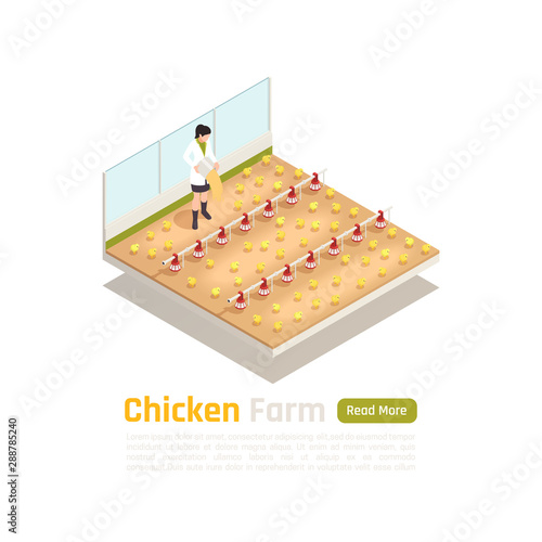 Chicken Farm Isometric Composition 